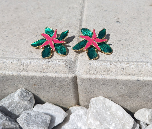 Star flower green and pink